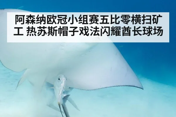 阿森纳欧冠小组赛五比零横扫矿工 热苏斯帽子戏法闪耀酋长球场